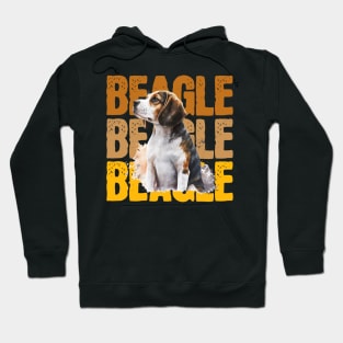 Beagle Funny, Beagle, Beagle Dog Lover, Beagle Lover Hoodie